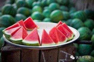 八瓜金泡仇吃治什么病