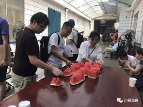 成都新闻吃瓜群众,吃瓜群众热议的幕后故事揭晓