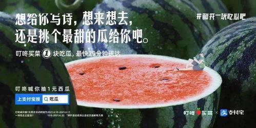 海边吃瓜文案,海边夏日美食之旅