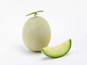 哈哈吃蜜瓜,蜜瓜盛宴中的欢乐时光