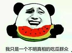 小蓝蓝吃瓜,小蓝蓝的瓜田奇遇记