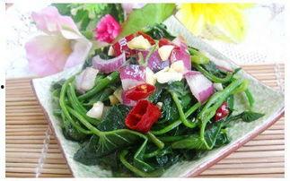 泗水张庄吃瓜,夏日里的瓜香四溢美食之旅