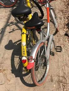 摩拜单车吃瓜,一场关于共享经济的舆论风暴