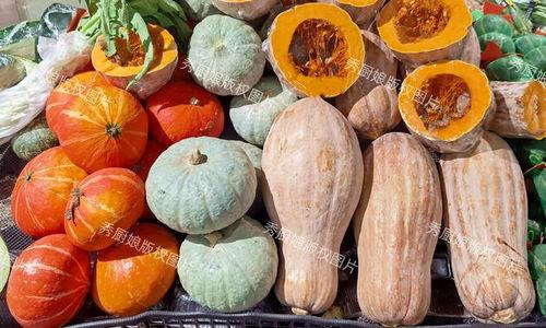 八药瓜怎么吃,八药瓜的多样食用方法与营养益处