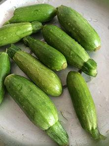 小角瓜蒸熟吃,简单美味，营养满分的家常菜