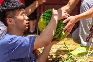 佤邦吃瓜视频,揭秘当地风土人情与美食文化