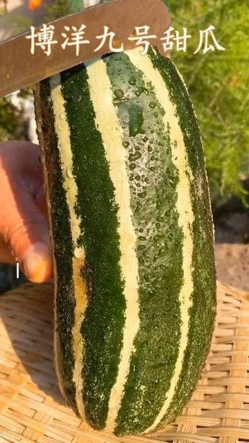 吃瓜没有几分熟,揭秘娱乐圈幕后真相，看透明星们未熟人生