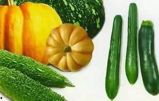 榆林吃瓜事件详情,一场网络热议背后的真相与反思