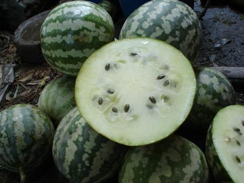 怎么很多人吃瓜,揭秘网络时代“吃瓜群众”的狂欢