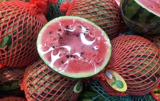 上海吃瓜群众判刑,网络舆论下的法律边界与责任