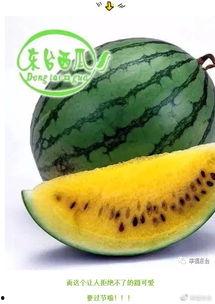 世界吃瓜局,全球美食盛宴大揭秘